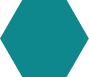 ERP Devlopment